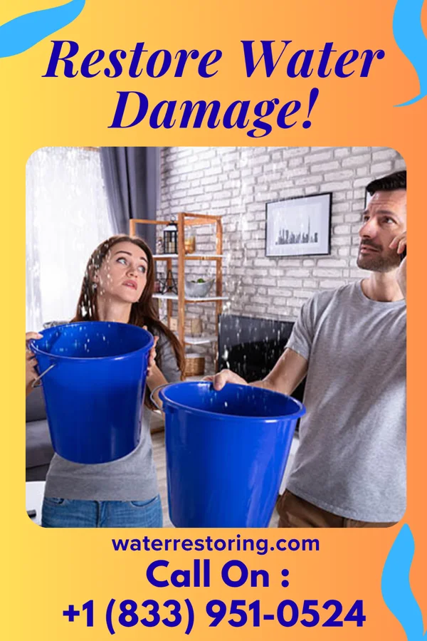 water restoration United Damage Recovery Pros Shenandoah Retreat