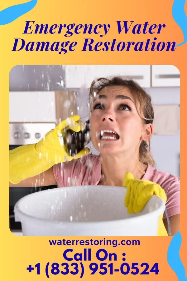 Emergency Water Damage Restoration in Shenandoah Retreat, VA