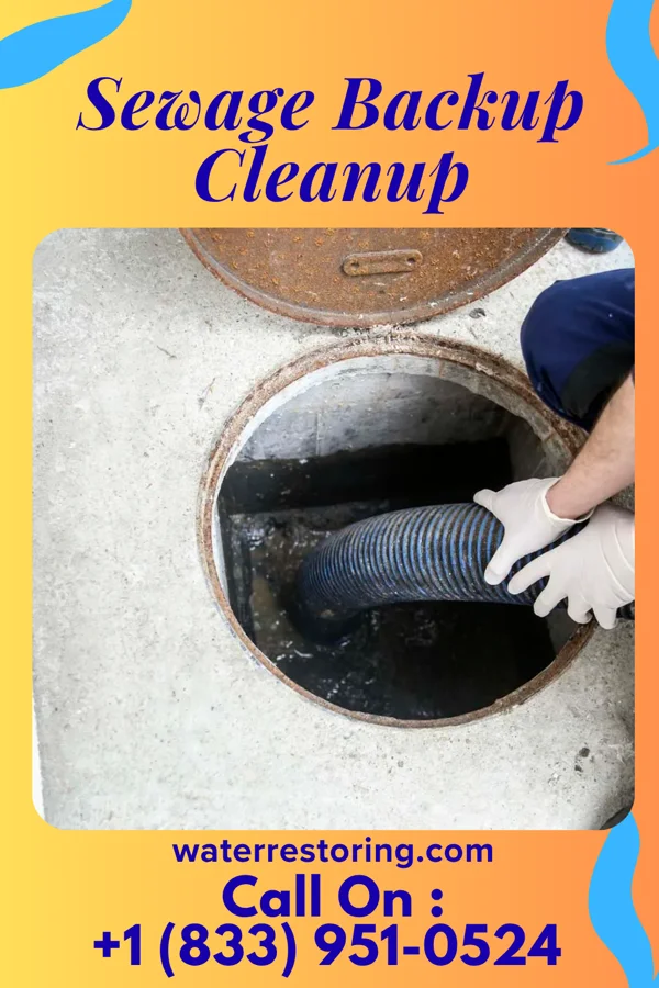 Sewage Backup Cleanup in Shenandoah Retreat, VA