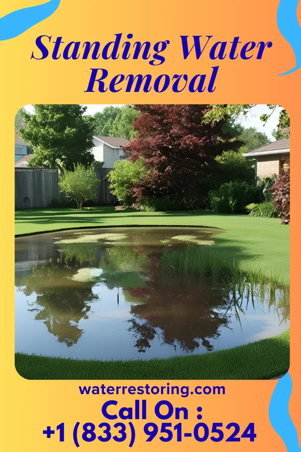 Standing Water Removal in Shenandoah Retreat, VA
